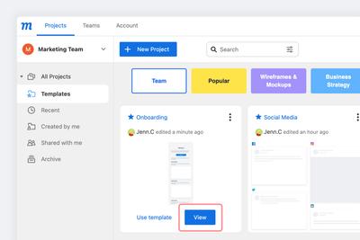 View Team Template