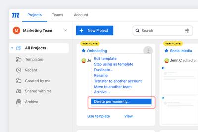 Delete Team Template
